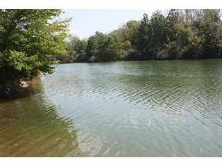 Property photo 74 - 419 +/- Acres offered in 6 Tracts, Land Auction